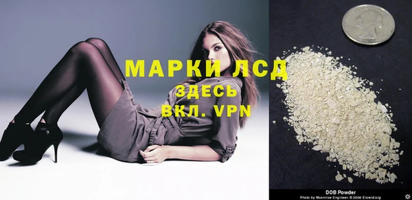 дмт Алзамай