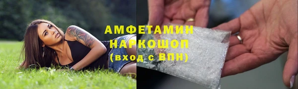 дмт Алзамай