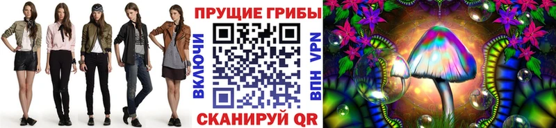 Галлюциногенные грибы Psilocybe  Большой Камень 